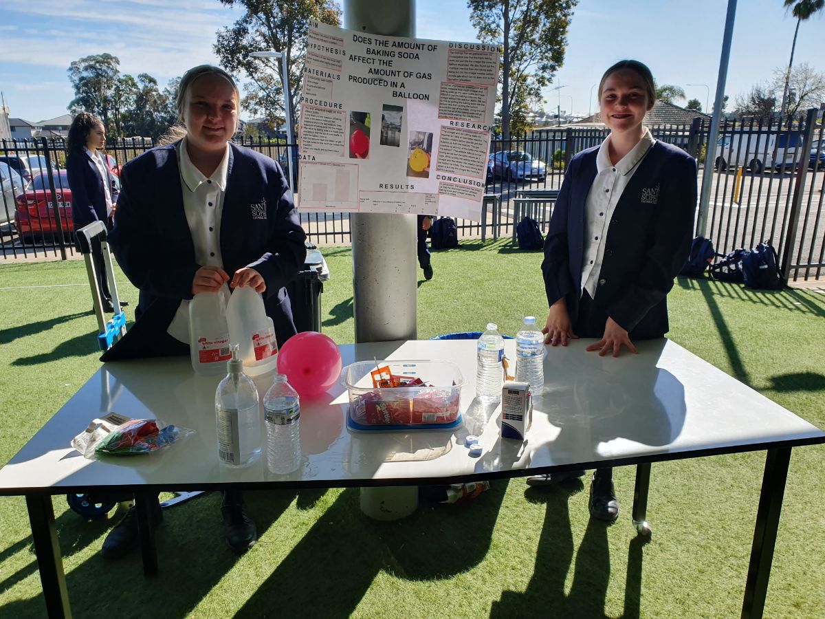 Year 9 Science Fair