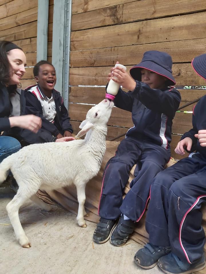 Farm Visit 03