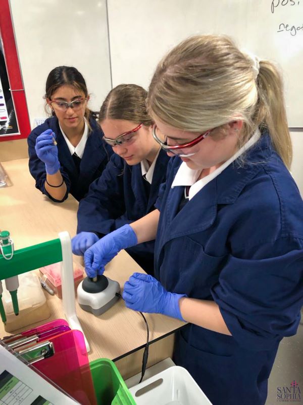 06_Yr9AcceleratedScienceExcursion-6_NI