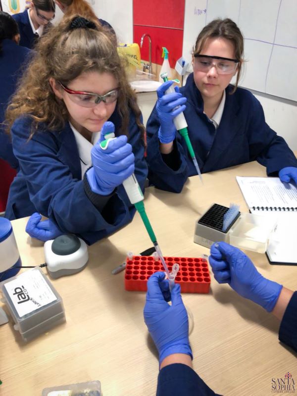 06_Yr9AcceleratedScienceExcursion-7_NI