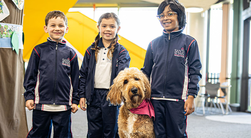 Santa Sophia Catholic College Box Hill students with Arlo the wellbeing dog
