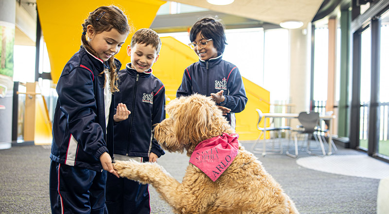 Santa Sophia Catholic College Box Hill students with Arlo the wellbeing dog
