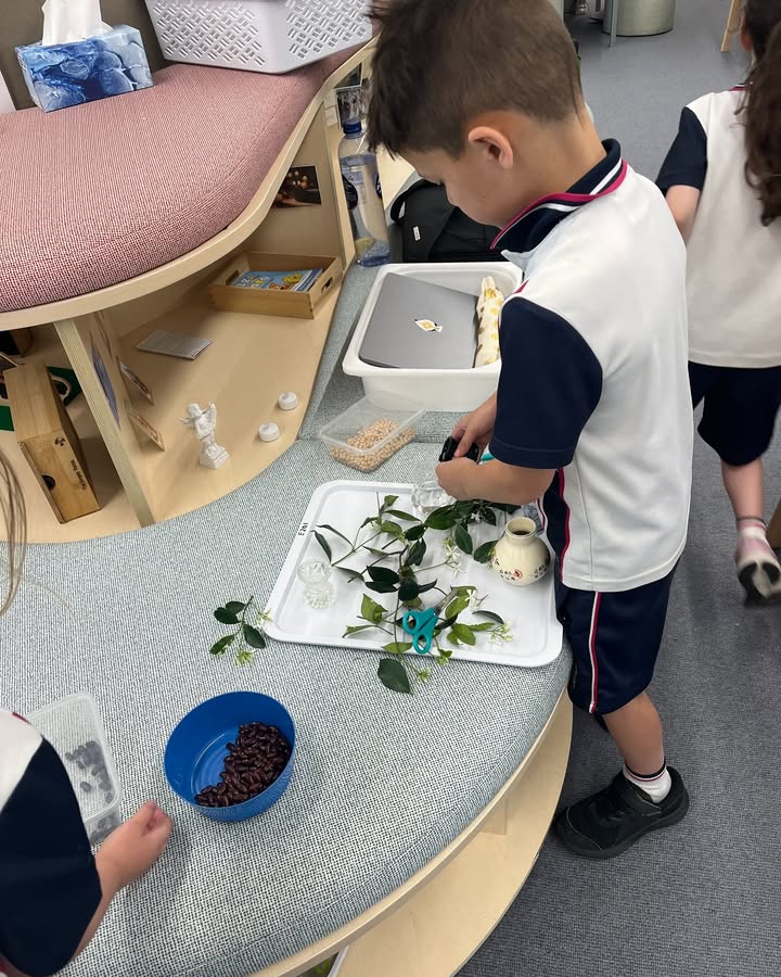 697778665695718_1303620548444857-1